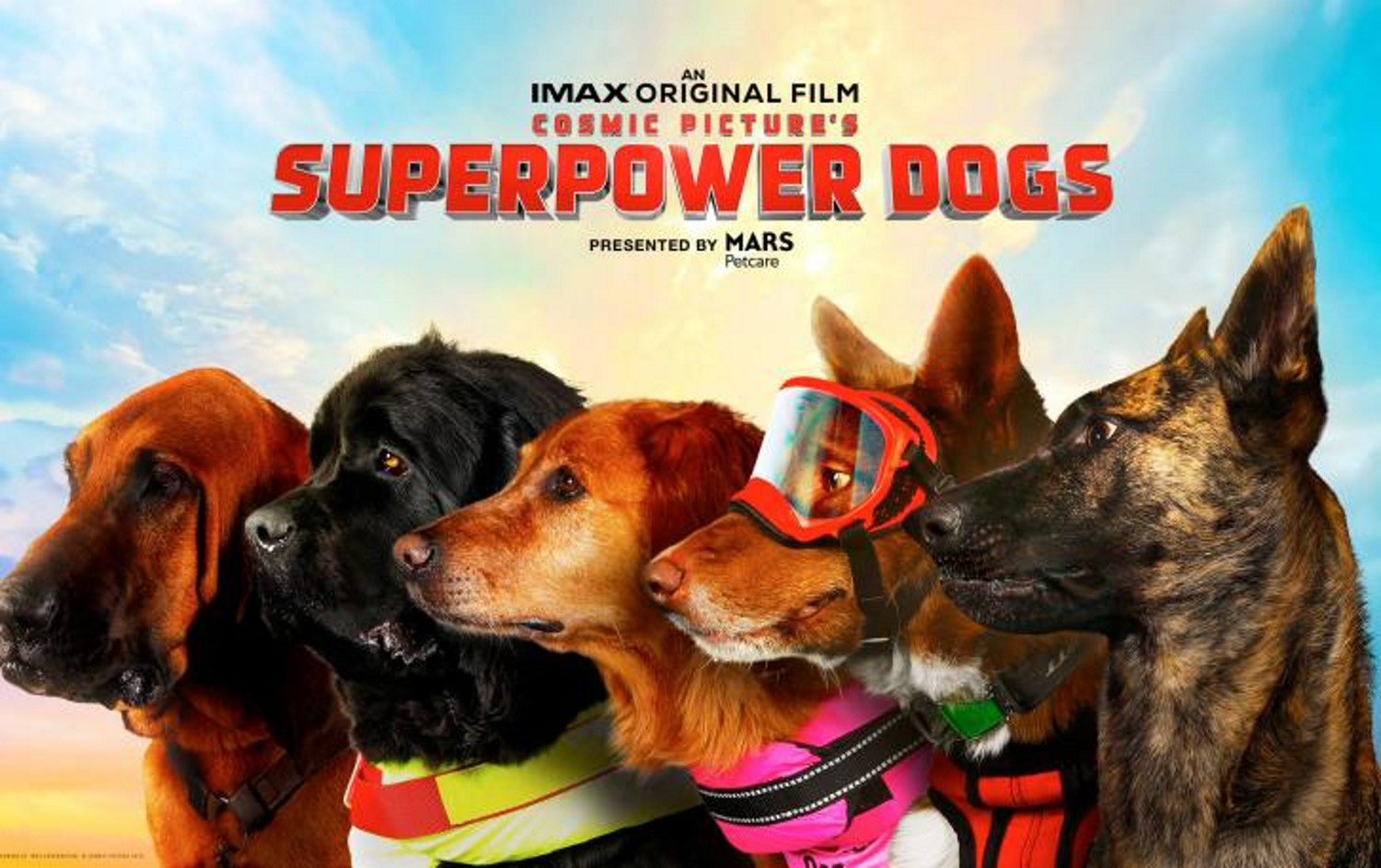 Superpower dogs watch online free new arrivals